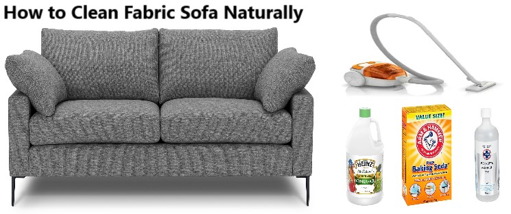 How To Clean Fabric Sofa Naturally Without Water At Home