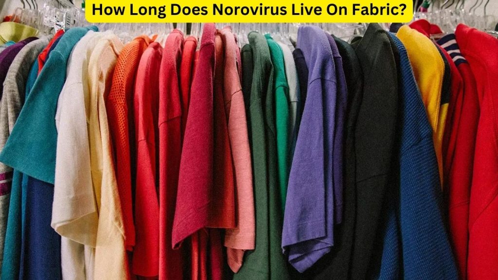 How Long Does Norovirus Live On Fabric 