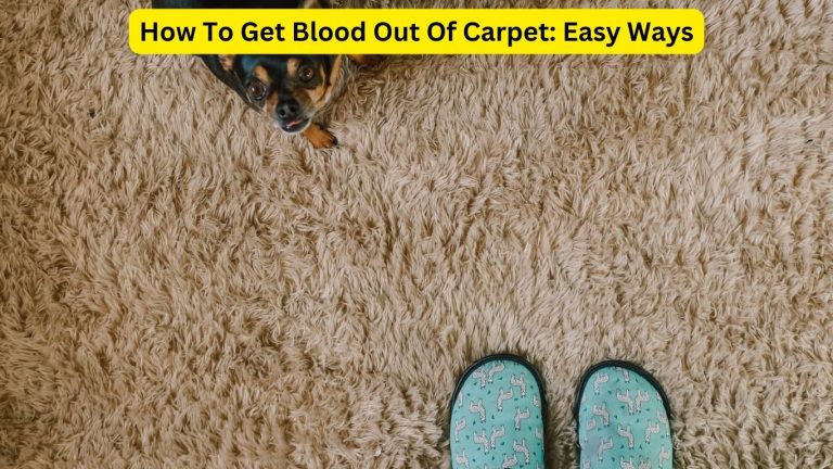 how-to-get-blood-out-of-carpet-easy-ways