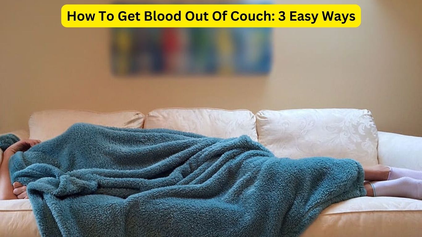 How To Get Blood Out Of Couch