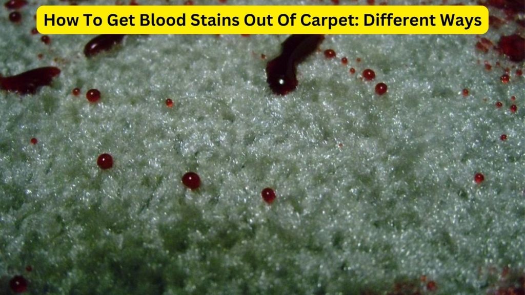 How To Get Blood Stains Out Of Carpet