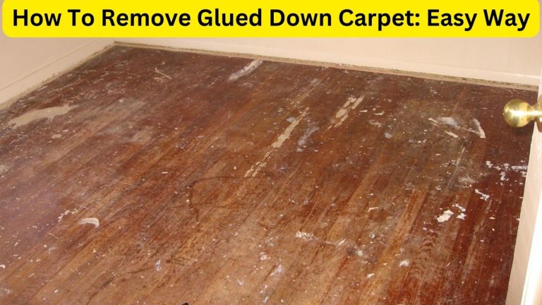 how-to-remove-glued-down-carpet-from-wood-carpet