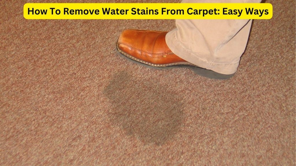 How To Remove Water Stains From Carpet