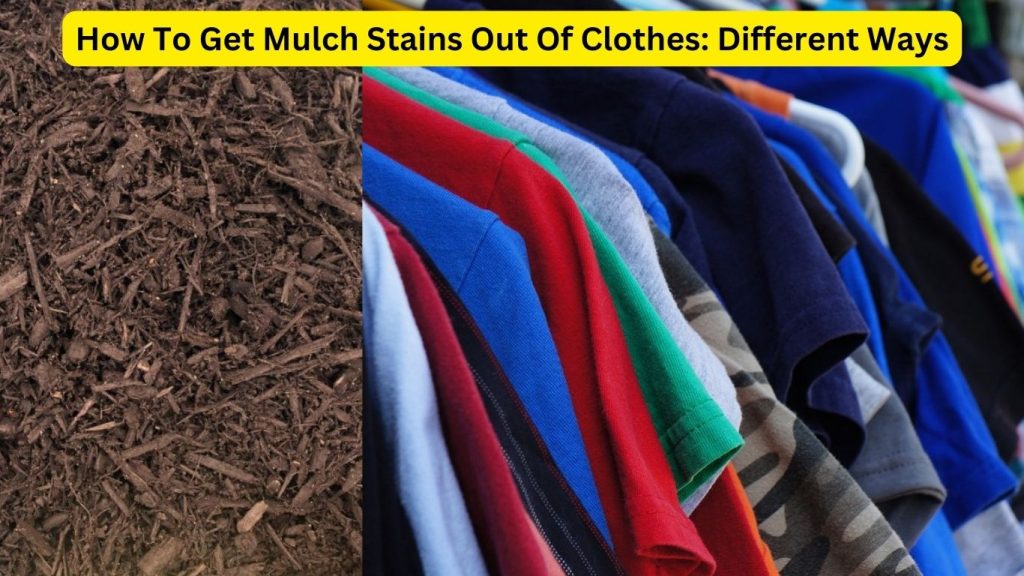 How To Get Mulch Stains Out Of Clothes