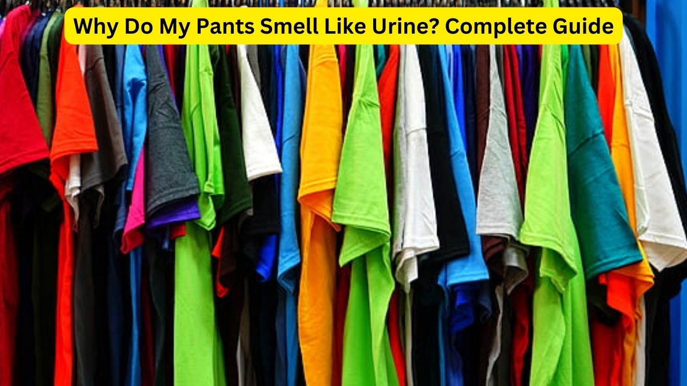 Why can I smell myself through my pants  Quora