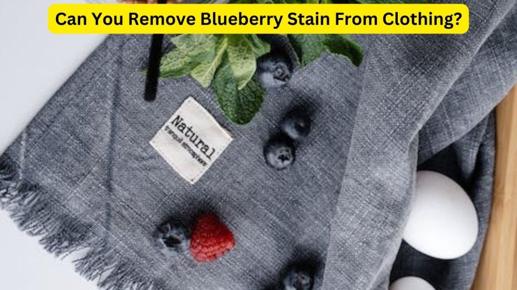 Can You Remove Blueberry Stain From Clothing