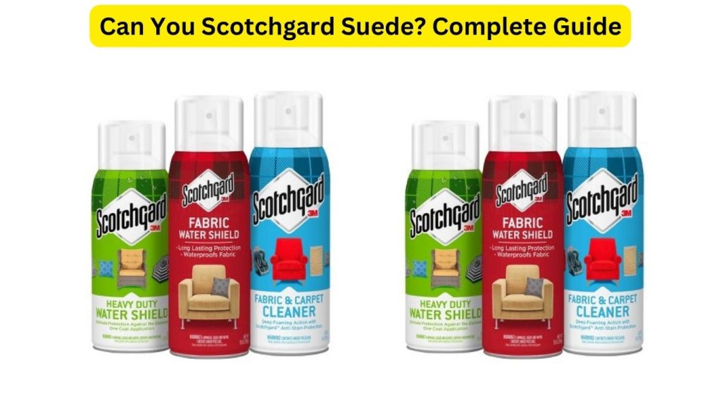 Can You Scotchgard Suede