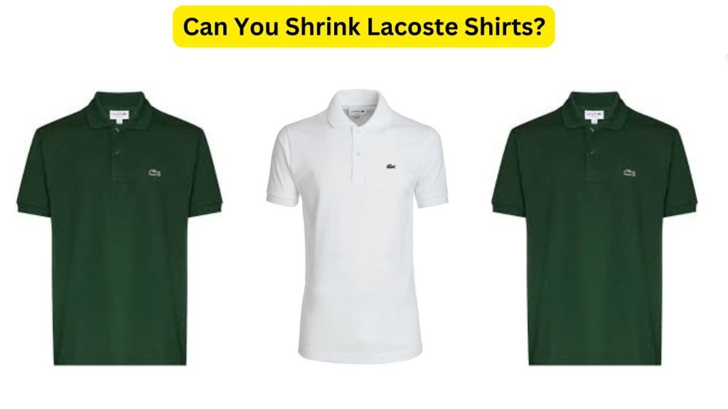 Can You Shrink Lacoste Shirts