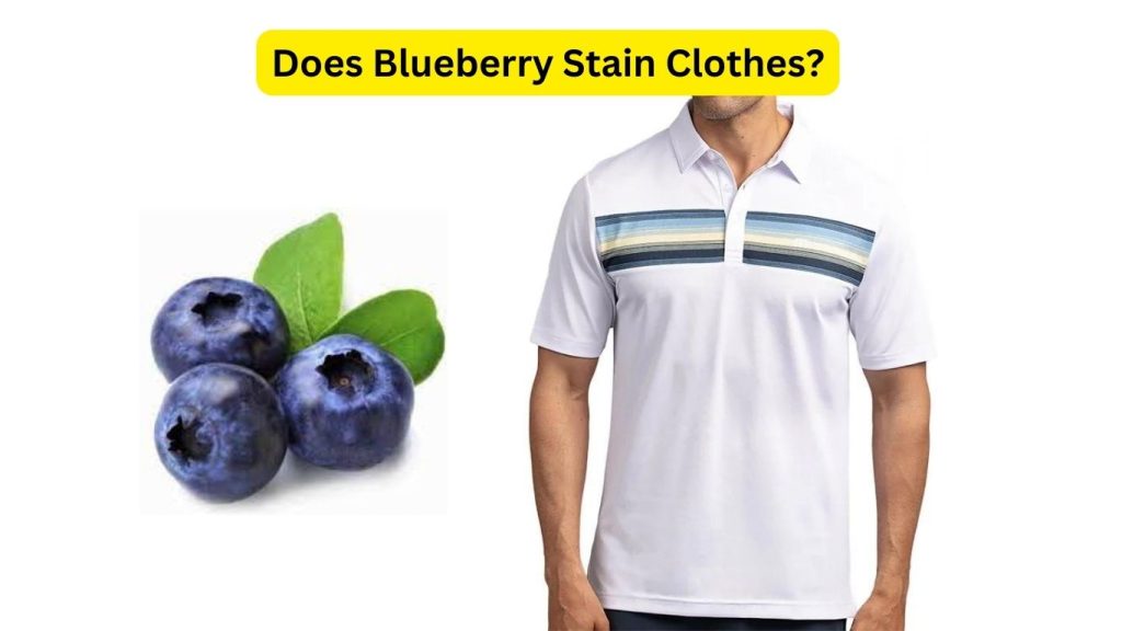 Does Blueberry Stain Clothes