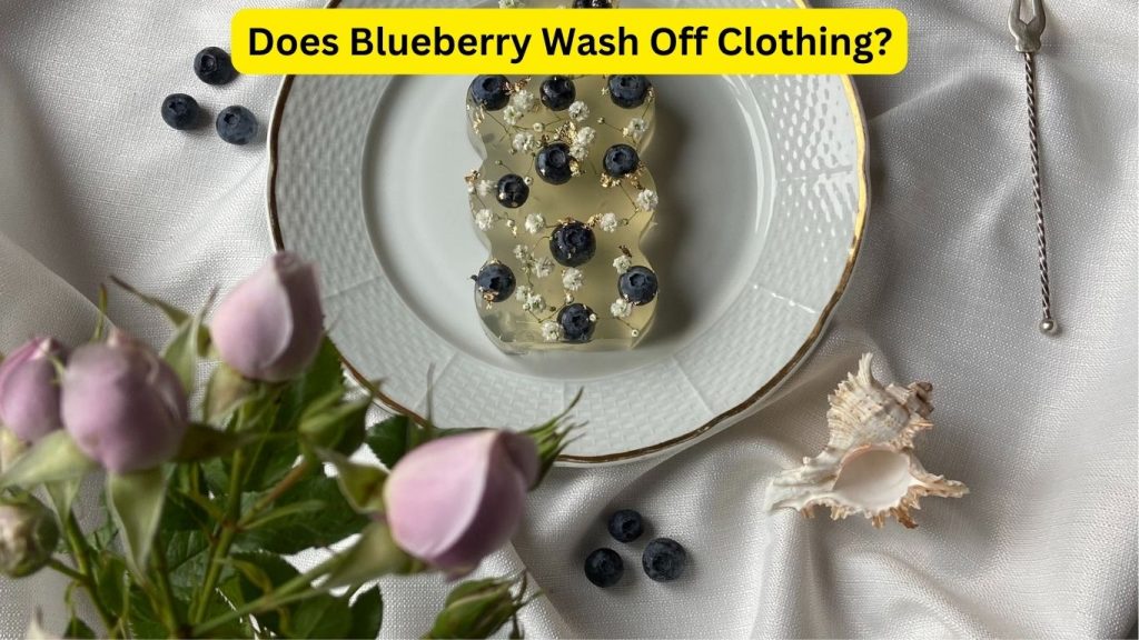 Does Blueberry Wash Off Clothing