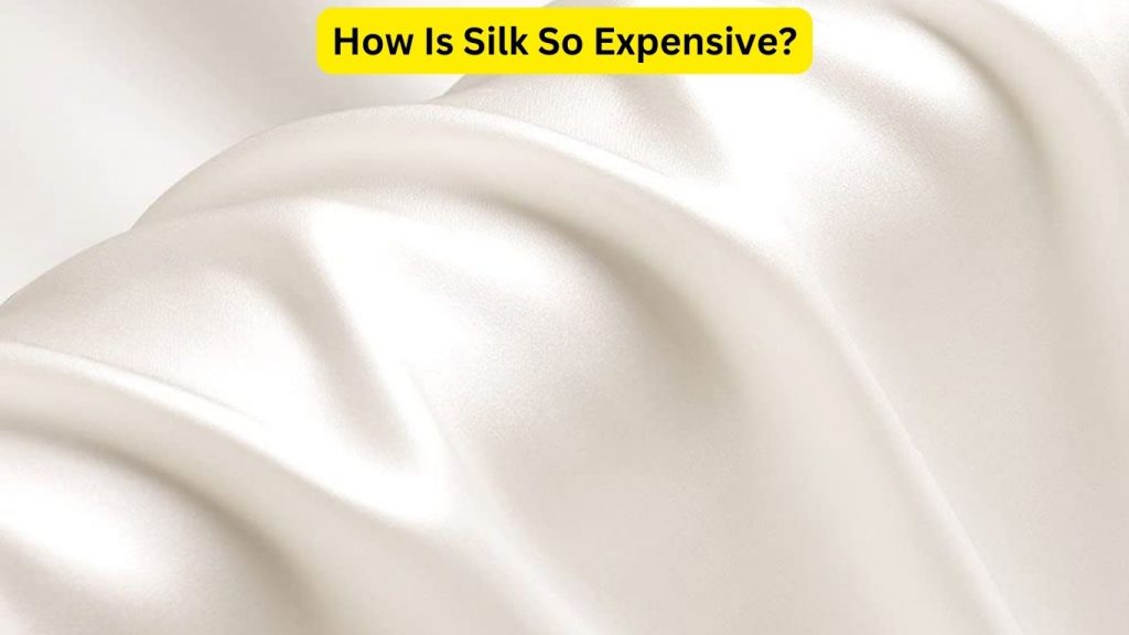 How Is Silk So Expensive