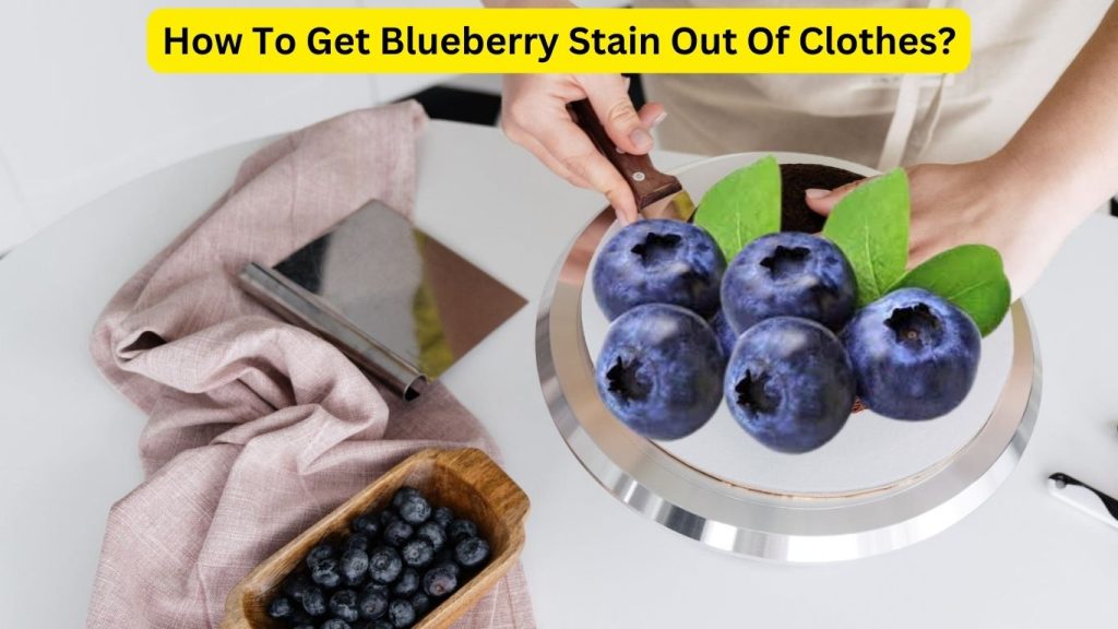 How To Get Blueberry Stain Out Of Clothes