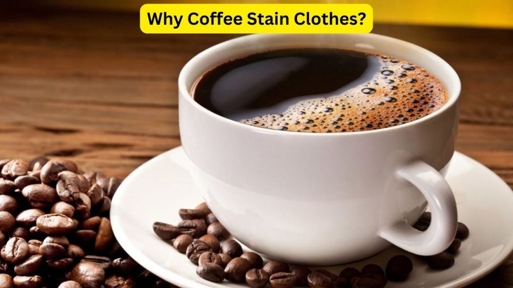 Why Coffee Stain Clothes