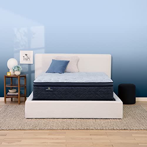 Best Plush Pillow Top Mattress