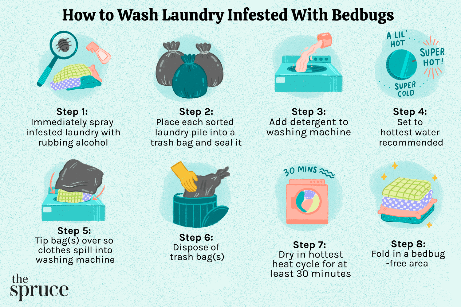 how-to-kill-bed-bugs-on-clothes