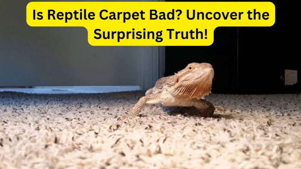 Is Reptile Carpet Bad