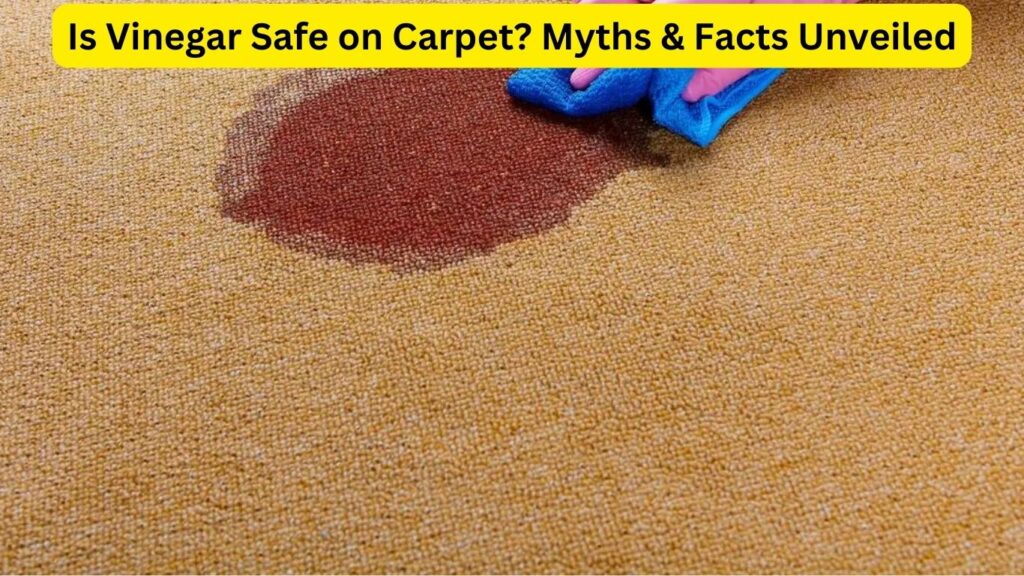 Is Vinegar Safe on Carpet