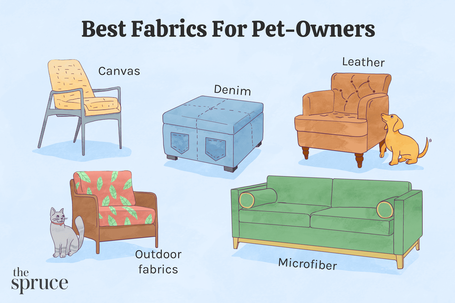 Best Couch Fabric for Dogs