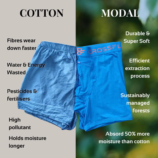 Modal Vs Cotton Underwear: The Ultimate Comfort Debate