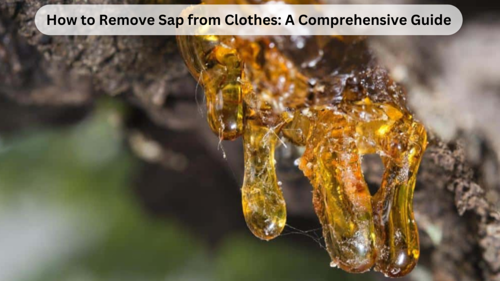 How to Remove Sap from Clothes