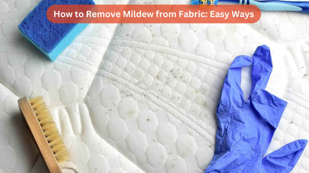 How to Remove Mildew from Fabric